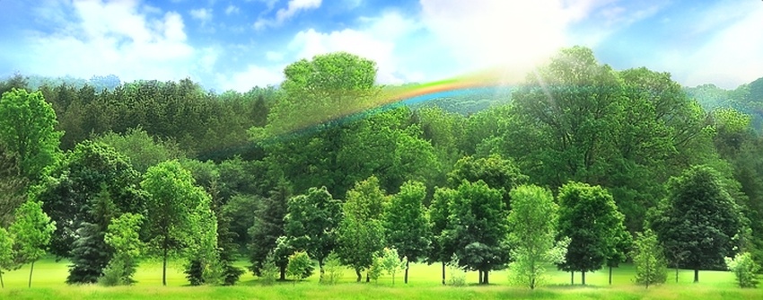 milan米兰app官网