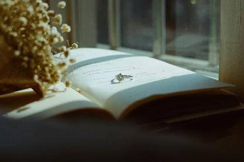 
那些放弃专升本的人现在都怎么样了?‘milan米兰’(图2)