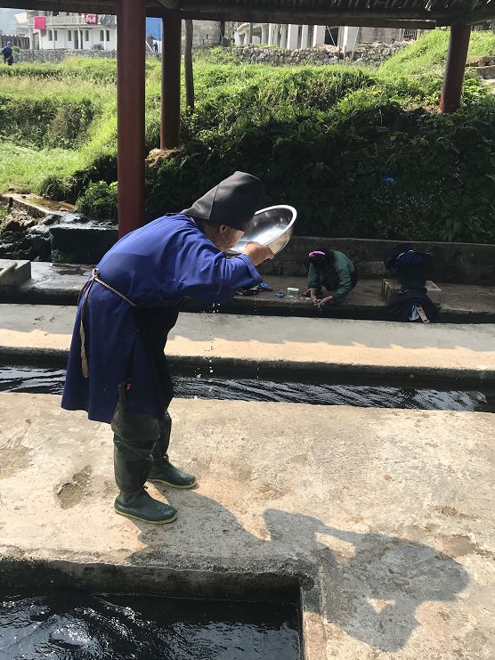 江苏省农垦与泰国正大养猪项目签约-milan米兰