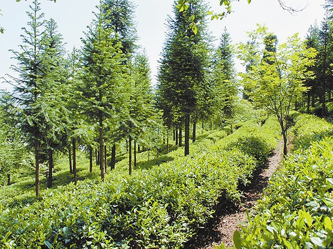 斯女联: NMSK巴迪斯拉華女足不敌迈加瓦斯巴达女足 终场比