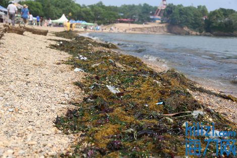 milan米兰app官网