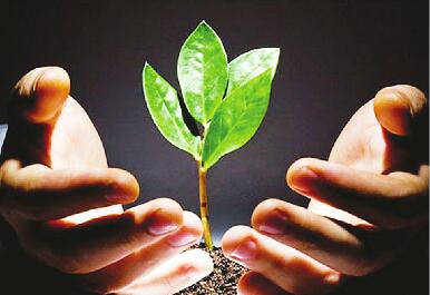 “米兰官方网站”
可连续生长