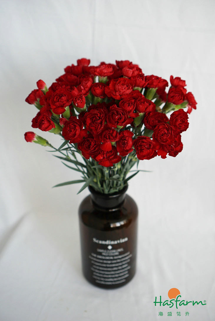 【米兰官方网站】第7094章 互相吹捧(图1) milan米兰