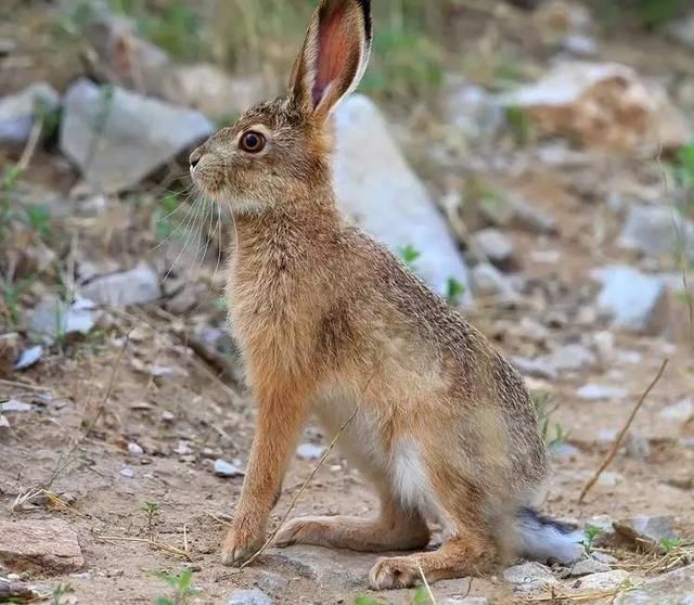 第8424章 傻子才过去呢-milan米兰(图2) milan米兰