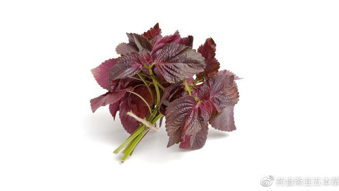 第1737章 女婿-milan米兰app官网(图2) 米兰官方网站