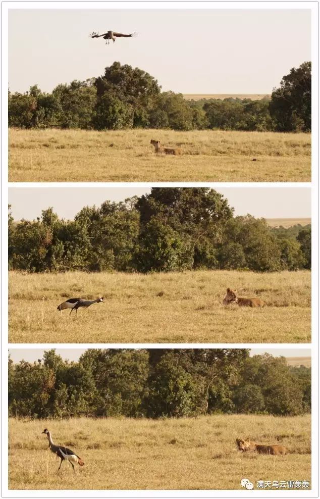 美官员发表涉华演讲指责中国,外交部:充满政治谎言,企图转移美国民众视线掩盖自身的问题‘milan米兰’(图1) 米兰官方网站