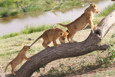 美官员发表涉华演讲指责中国,外交部:充满政治谎言,企图转移美国民众视线掩盖自身的问题‘milan米兰’(图3) milan米兰