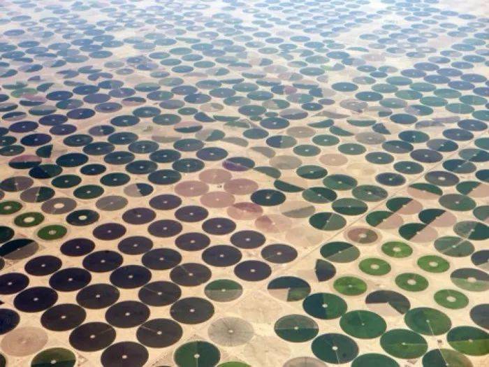 
沙特阿拉伯王国首都利雅得 -milan米兰app官网(图13)